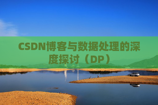 CSDN博客与数据处理的深度探讨（DP）